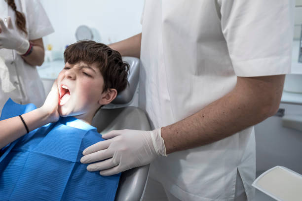 Best Emergency X-Rays and Diagnostics in Grant City, MO